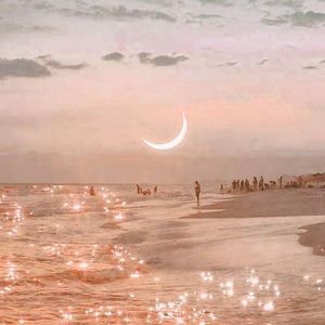 Meet your Posher, Nina